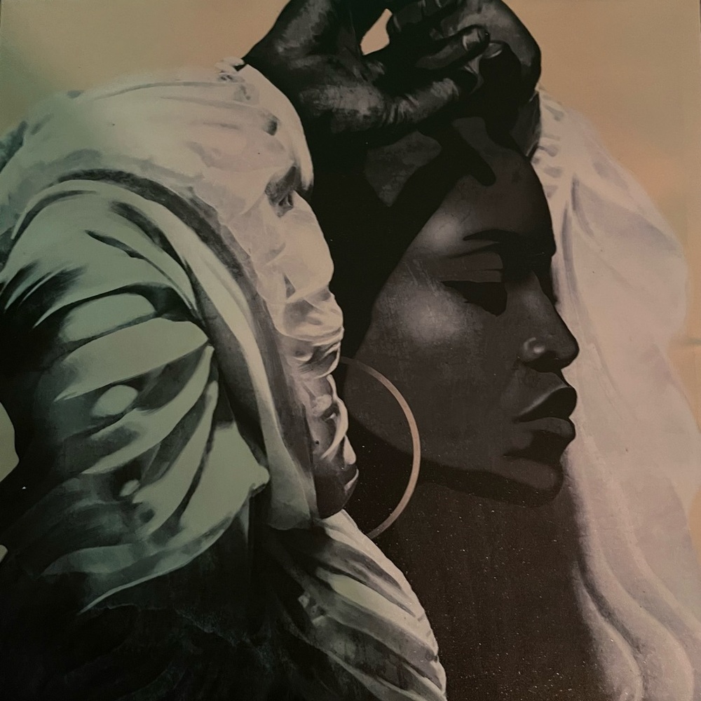 Elegant Black and White Portrait Art Painting